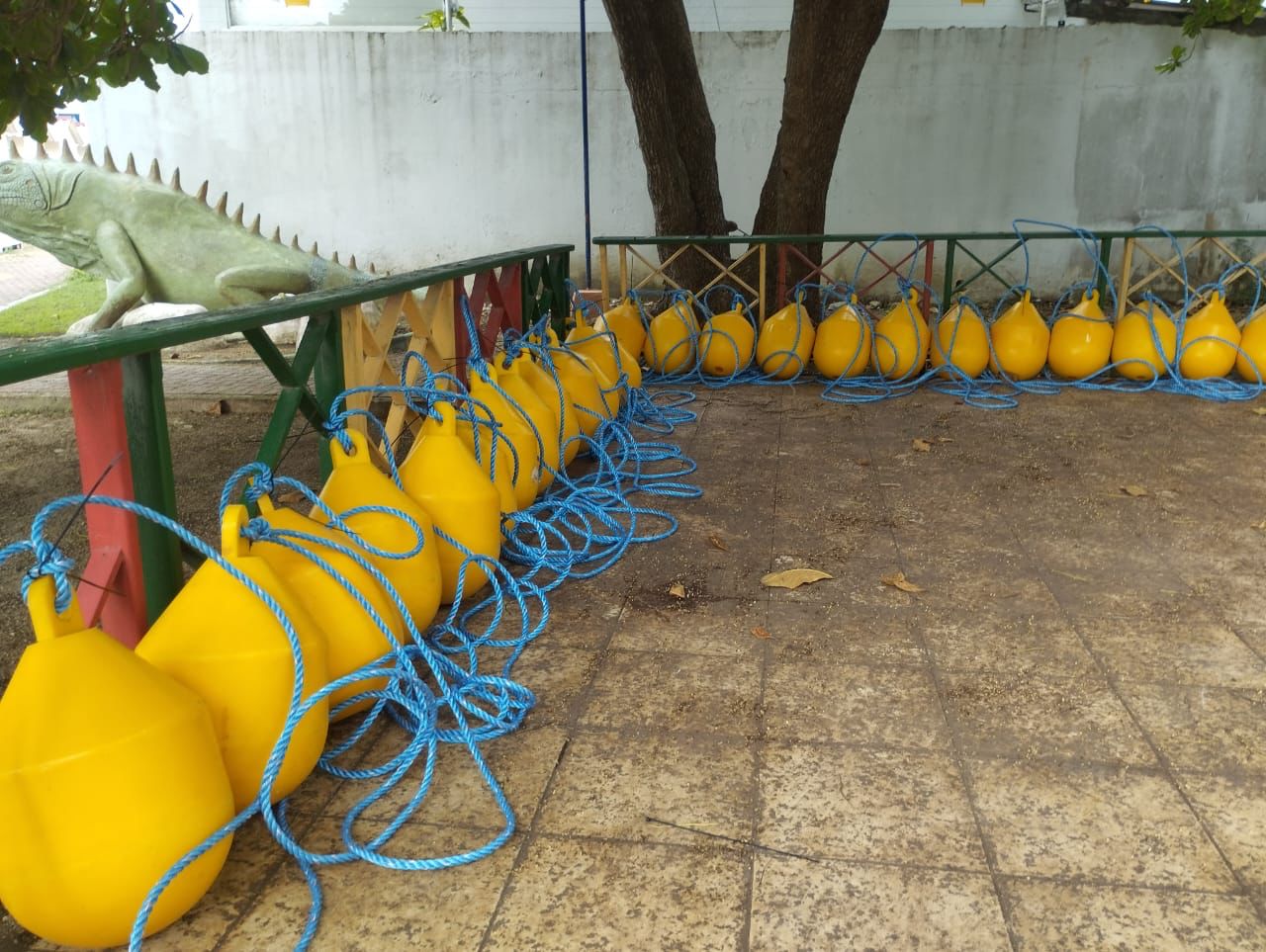 PHOTO 2023 10 23 12 01 37