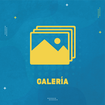 nuevos ICONOS DISCAPACIDAD 05 5