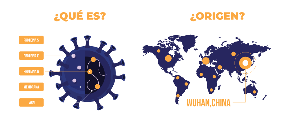 Corona Virus