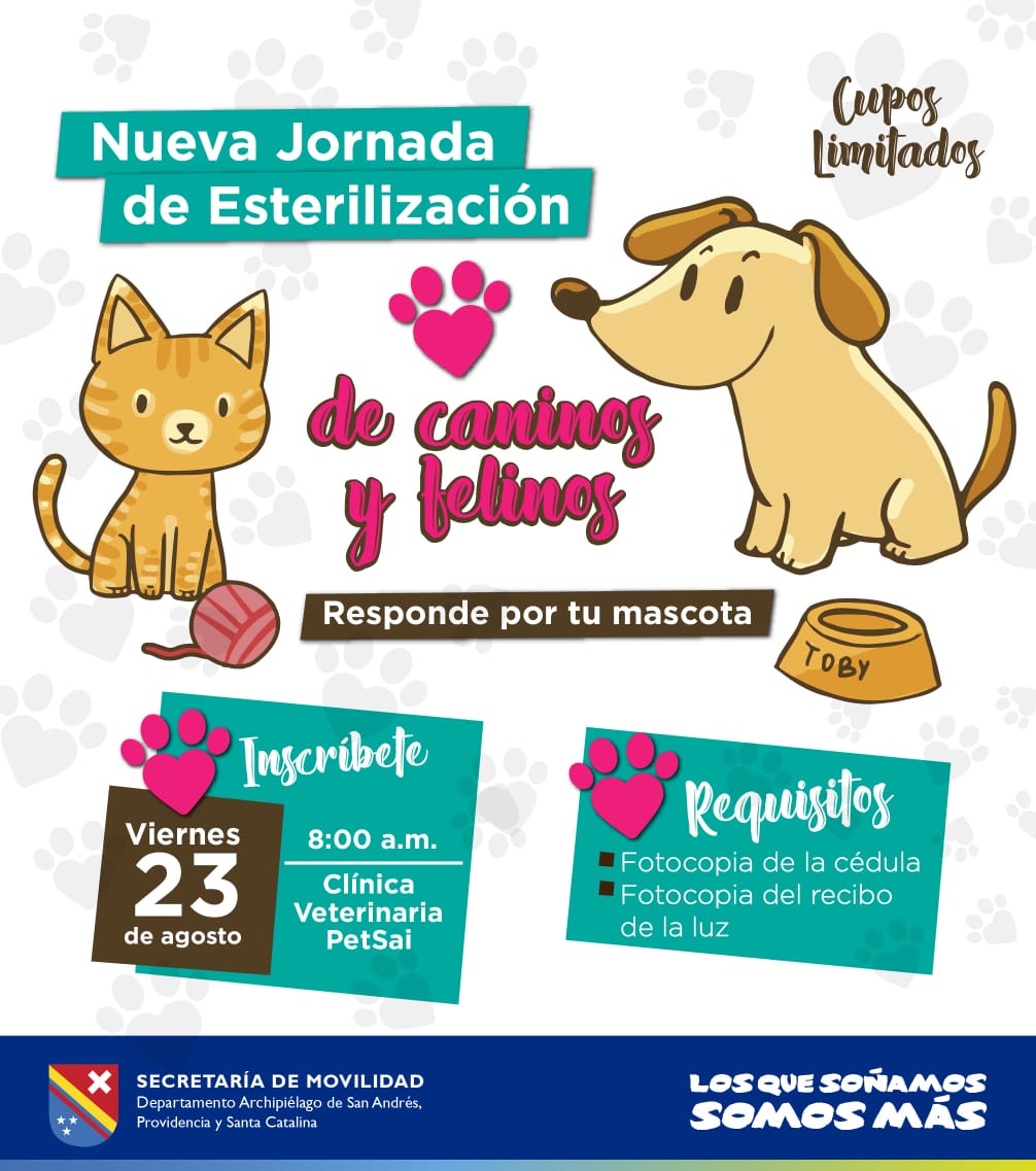 mascotas