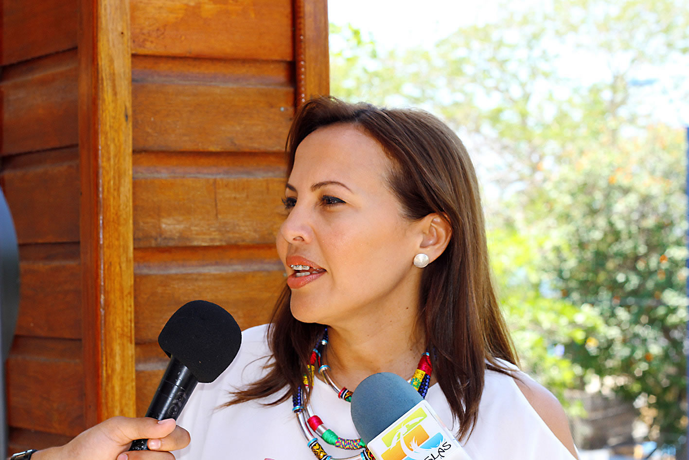 Viceministra Turismo